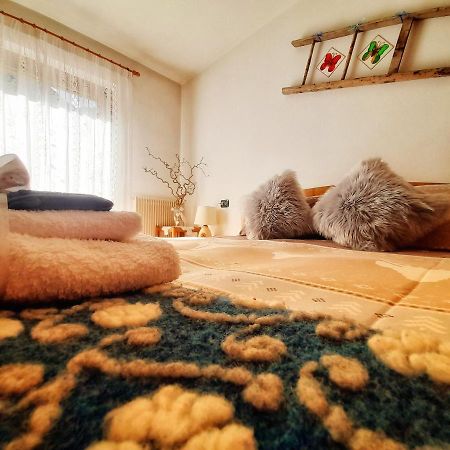 Casa Minela Διαμέρισμα Falcade Εξωτερικό φωτογραφία