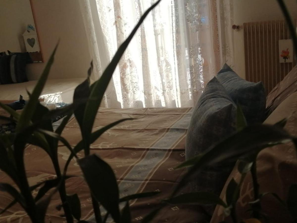 Casa Minela Διαμέρισμα Falcade Εξωτερικό φωτογραφία